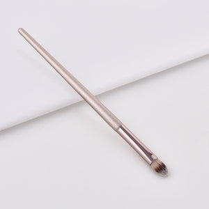 Luxury Champagne Brushes - GadgetsPerfect